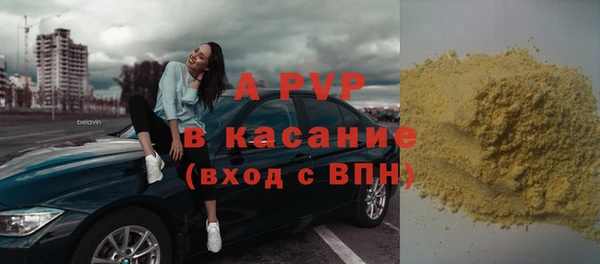 молекула духа Новозыбков