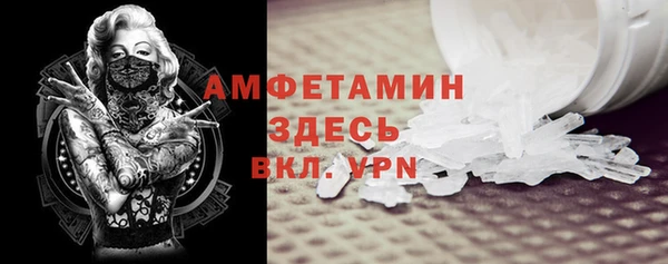 сатива Новодвинск