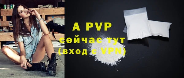 молекула духа Новозыбков