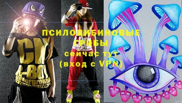 сатива Новодвинск
