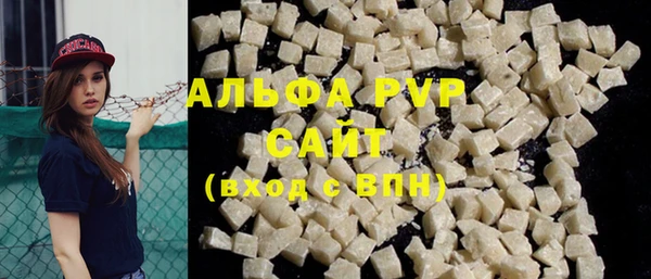 молекула духа Новозыбков