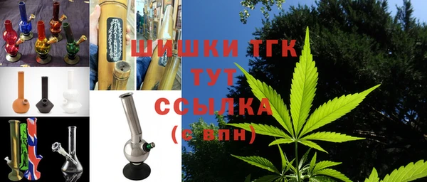 сатива Новодвинск