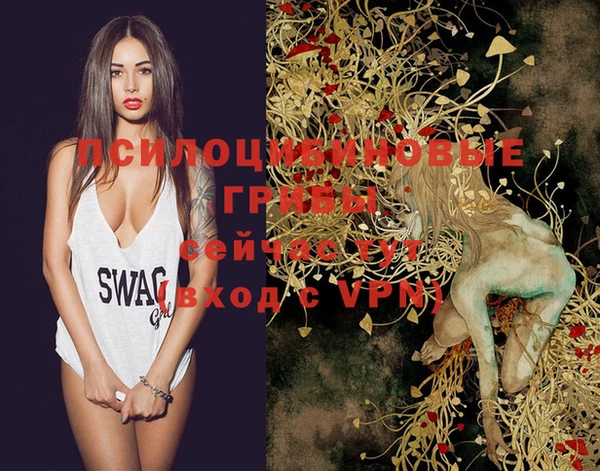 прущая мука Нея