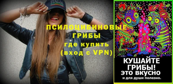 PSILOCYBIN Нефтекумск