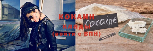 сатива Новодвинск