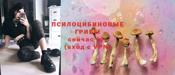 амф Нефтегорск