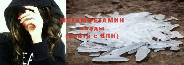 сатива Новодвинск